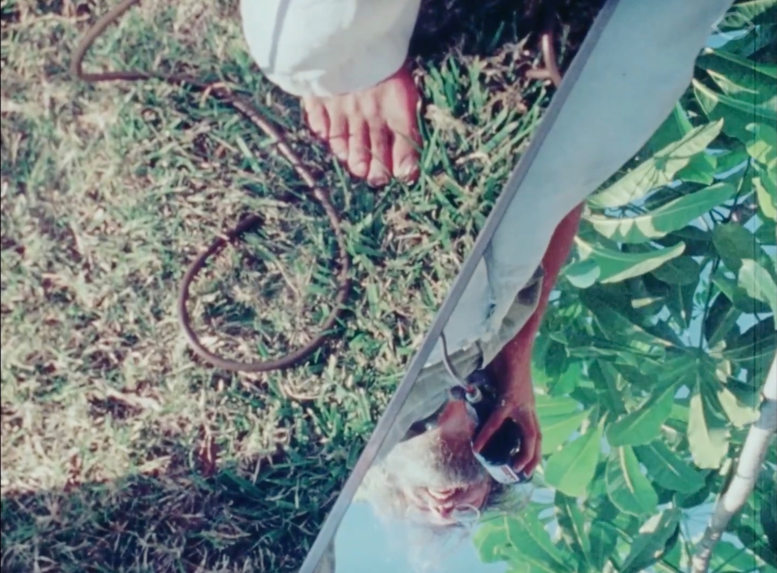 6000 Dollar – Bild 1